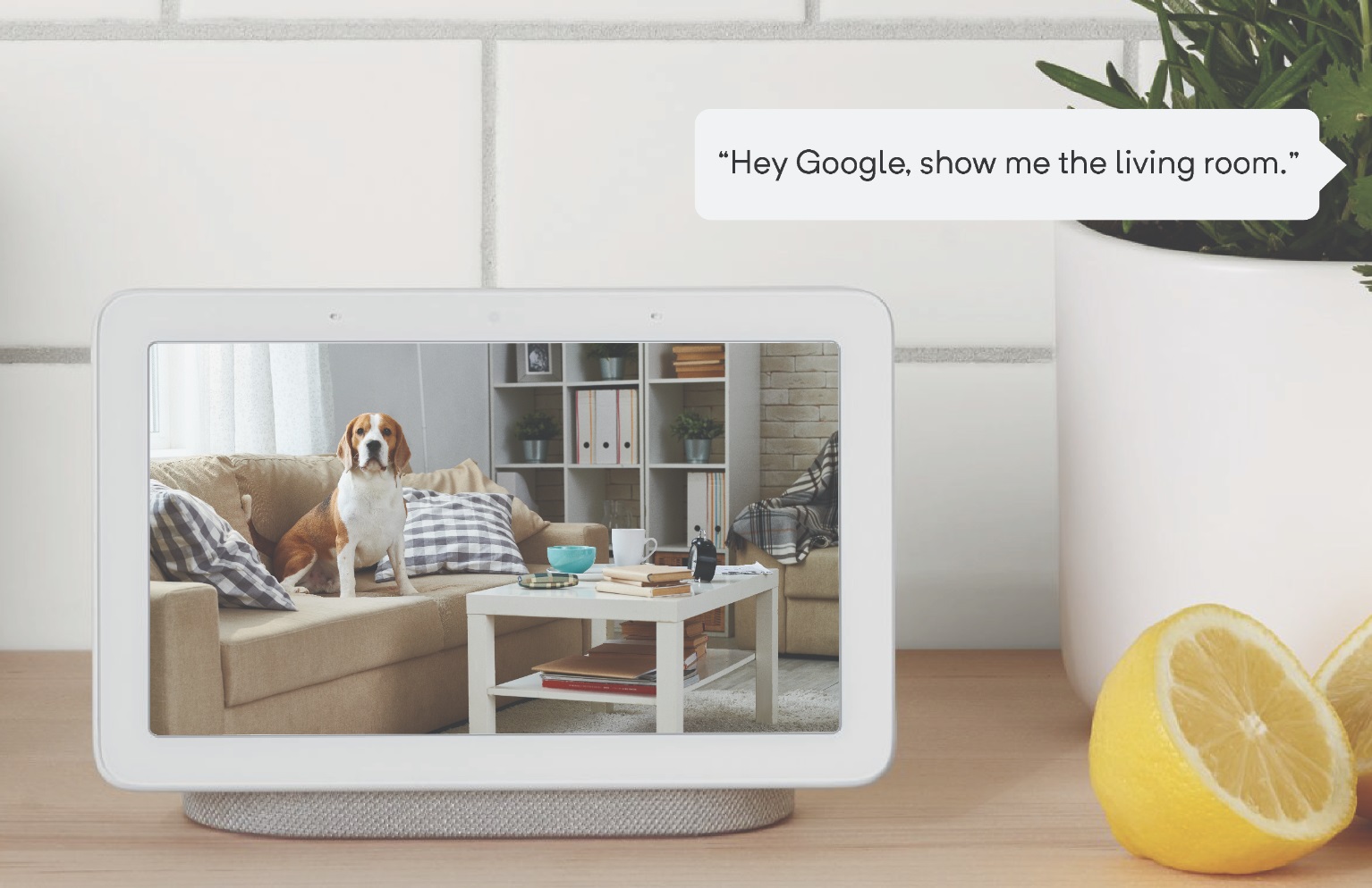 Camera Wyze được cáºp nháºt firmware má»›i cải thiện streaming
